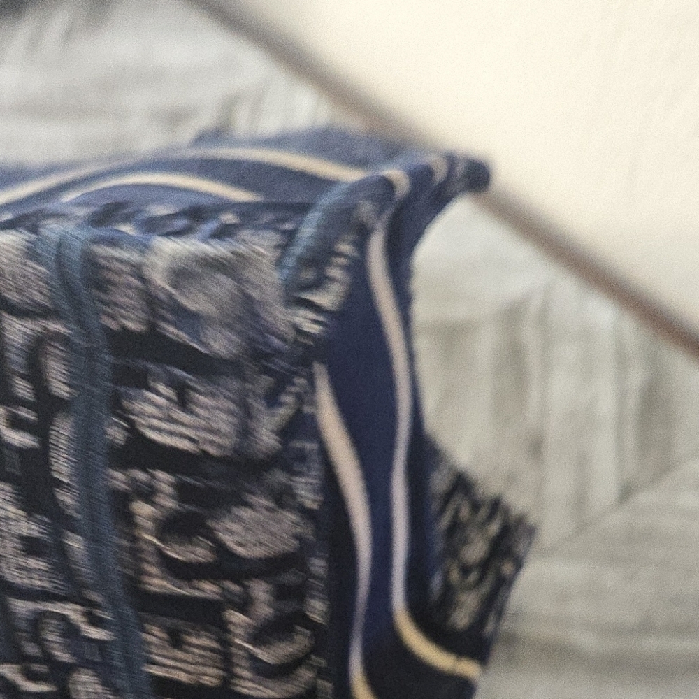 Christian Dior Blue and White Tote Bag - Picture 14 of 15